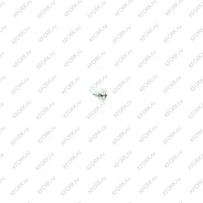 Винт 9125502100_cat Caterpillar